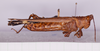 CollectionObject 1572196; 09d45213-1fcf-4e5d-8733-0ca4dbc64163: female, body lateral view (holotype). (CollectionObject).