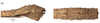 CollectionObject 1597512; debc12cb-bd11-46d4-a87f-d42768dacba0, QIMR T250911: copyright QM. female: end of abdomen, lateral & dorsal views (holotype). (CollectionObject).