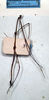 CollectionObject 1561759; NMW 315', 9fbc6c4d-a471-4b00-8826-451ec2f3759b: copyright NMW, Vienna. male (syntype) [misidentification = R. nematodes, see Brock 1999]. (CollectionObject).