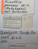 CollectionObject 1543806; 1dfade2e-bea3-4bb0-a6cb-8dcd913f5bfa: labels (holotype). (CollectionObject).