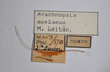 CollectionObject 1527301; 2f5f3260-e0dc-4094-b2e8-0fad9b4ae8c9: labels (holotype). (CollectionObject).
