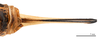 CollectionObject 1578328; a8edc683-f37b-407d-908a-f65e7ce8b7d0: ovipositor, dorsal view (allotype of Deracanthina mistshenkoi Bazyluk, 1972). (CollectionObject).
