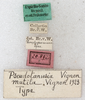 CollectionObject 1531798; d2437372-cf58-45be-a321-f96468e6a9bf: labels (holotype). (CollectionObject).
