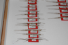 CollectionObject 1562997; be764e92-0c4c-42ab-b77e-4d7669792f95: copyright ZSMC, Munich. males (paratypes). (CollectionObject).;CollectionObject 1562998; 6c453e8d-c8c8-486e-ae7d-5e8454bc9a17: copyright ZSMC, Munich. males (paratypes). (CollectionObject).;CollectionObject 1562999; 64ac46e3-d6ce-4b6d-b120-a06f0a01a18a: copyright ZSMC, Munich. males (paratypes). (CollectionObject).