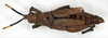 CollectionObject 1535543; 3affe02f-0543-41e0-92a6-31fd134da52d: male, dorsal view (holotype of Maura flavifrons). (CollectionObject).