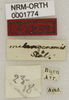 labels (holotype). Depicts CollectionObject 1529784; 023177d5-847d-4548-a886-37a382c03b00, a CollectionObject.