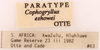 CollectionObject 1961571; 498283df-9f9d-4ebe-9792-95fc21ac0bab, ANSP004_GRYLL_ANSP: Female, labels (paratype). (CollectionObject).