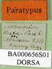 CollectionObject 1502736; 2b92a192-1a0f-4433-beac-b188914d8af7: labels (paratype). (CollectionObject).