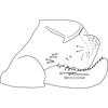 Pygofer, lateral view on Anufrievia arcuata Yang & Zhang, 2018: Pygofer, lateral view. (Observation).