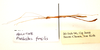 CollectionObject 1560038; f39289b9-11b2-460c-8e56-308ee44bff1d: copyright ZRC Singapore. male, lateral view (holotype). (CollectionObject).