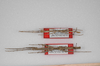CollectionObject 1562997; be764e92-0c4c-42ab-b77e-4d7669792f95: copyright ZSMC, Munich. couple (paratypes). (CollectionObject).;CollectionObject 1562998; 6c453e8d-c8c8-486e-ae7d-5e8454bc9a17: copyright ZSMC, Munich. couple (paratypes). (CollectionObject).;CollectionObject 1562999; 64ac46e3-d6ce-4b6d-b120-a06f0a01a18a: copyright ZSMC, Munich. couple (paratypes). (CollectionObject).
