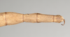 CollectionObject 1560550; NHMUK(SF IMPORT DUPLICATE) 845077, f306f22f-4091-40f0-8961-26225621a3ad: copyright Natural History Museum, London. female: end of abdomen, dorsal view (holotype). (CollectionObject).