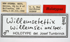 CollectionObject 1567149; 6d8c0fe4-da0c-47c1-b177-34d43bc57a56: male, labels (holotype). (CollectionObject).