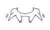 Trichopaon villosus Descamps & Amédégnato, 1972: Fig. 168. epiphallus, dorsal view. (Otu).