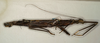 CollectionObject 1560696; NMW 1051, 5debb61e-92a3-436e-a391-56afa1b19174: copyright NMW, Vienna. female, lateral view (syntype). (CollectionObject).