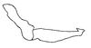 Stylus: !! display not done !! on Curtara (Curtara) cometa DeLong & Freytag, 1976: Male: style, lateral view. (Observation).