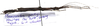 CollectionObject 1584631; db622e50-cc37-40c0-8417-01ceab6ed4fc: (CollectionObject).