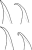 Aedeagus, lateral view: Aedeagus, lateral view. (Observation).