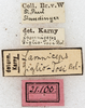 CollectionObject 1576556; NMW 21100, ce679188-12cb-4c38-afcd-2f2d98f3e243: labels. (CollectionObject).