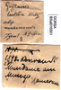 CollectionObject 1500131; 5f1fca0b-1a1b-4a9b-9fc3-6050c1bf1ff2, DORSA BSal016S01: labels (holotype). (CollectionObject).