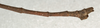 CollectionObject 1557722; NMW 528, 827666e6-3384-494f-adcc-0b96b9ef85aa: copyright NMW, Vienna. male: end of abdomen, lateral view of Carausius transiliens (paralectotype). (CollectionObject).