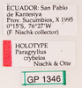 CollectionObject 1477843; a1aa5fe7-8182-4931-9db1-504a76fca5cc: labels (holotype). (CollectionObject).
