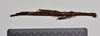 CollectionObject 1561664; NTUC 709, de4ff78e-e94d-4e85-8b94-37b567dfe607: copyright NTUC. female, dorsal view (holotype). (CollectionObject).