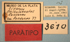 CollectionObject 1513187; a1d2d574-b555-46fb-a157-4ddb8e946978, MLP3610/1: labels (paratype of Jivarus albolineatus). (CollectionObject).