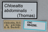 CollectionObject 2833366; 31d7760a-d72b-4c88-9053-8cc5a72f8847, CNCI 984295: (CollectionObject).