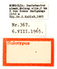 CollectionObject 1578314; f3606774-06a4-4bfe-a5ab-c85220dbabc2: labels (holotype of Chorthippus hirtus mongolicus Steinmann, 1967). (CollectionObject).