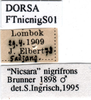 CollectionObject 1572390; b3fdd5c0-f3dd-46ce-a754-c4845686ae57: labels. (CollectionObject).