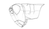 Dichroplus democraticus (Blanchard, 1851): Fig. 2. male head and pronotum, lateral view. (Otu).