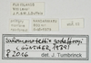 CollectionObject 1577216; 47045a40-c1ee-4db1-bf5b-7d94cbf0574e: labels. (CollectionObject).