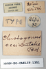 CollectionObject 1540651; 19519e89-c6b6-46f1-9ae7-bb0c17231e40: labels (syntype of Chrotogonus occidentalis). (CollectionObject).