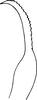Stylus: Stylus. (Observation).