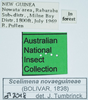 CollectionObject 1585214; bc8b33a9-d878-4ed6-8dde-fb1acedaf652: labels. (CollectionObject).