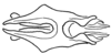 Aleuas uruguayensis Carbonell, 2008: Fig. 33D. phallic complex without epiphallus, dorsal view. (Otu).
