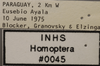 Other: !! display not done !! on Agudus sexmaculatus Linnavuori, 1959: Labels. (Observation).