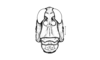 Enodisomacris curtipennis Cigliano, 1989: Fig. 218. male head, frontal view. (Otu).