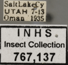 Other: !! display not done !! on Dicyphonia ornata (Baker, 1900): Labels. Labels for the specimen used for the dorsal, lateral and face images for the adult specimen. (Observation).