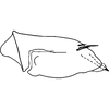 Pygofer, lateral view on Bonaspeia juliae Davies, 1987: Pygofer, lateral view (holotype). (Observation).