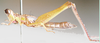 Euschmidtia cruciformis (Bolívar, 1895): female, lateral view. (Otu).
