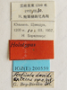 CollectionObject 2214711; IZCAS CSTR:19715.10.2111C0002601112776, 2cfab448-4cc9-4ca6-a556-037ee1ee82b2, IOZ(E)200559: Forficula davidi subsp. externa holotype CSTR:19715.10.2111C0002601112776. Available at: http://museum.ioz.ac.cn/bbimgxx.aspx?pth=2111C0002601112776. (CollectionObject).