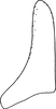 Subgenital plate: !! display not done !! on Dorycephalus hunnorum Emeljanov, 1964: ventral view. (Observation).