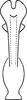 Aedeagus, ventral view on Erythridula cornipes (Beamer, 1930): Aedeagus, ventral view. (Observation).