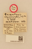 CollectionObject 1517865; a3103bb2-92f0-4d1e-98c0-f293132bfeb2, NHMUK015982370: labels (holotype). (CollectionObject).