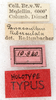 CollectionObject 1531679; 4b37ca18-02c6-44f5-a7c5-4c7daf25ba44: labels (syntype of Panacanthus tuberculatus). (CollectionObject).