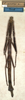 CollectionObject 1557745; NMW 521, 3d611a37-6baf-4116-8a4c-398a8d54b3c9: copyright NMW, Vienna. female of Carausius spinosus (holotype). (CollectionObject).