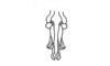 Deinacris picta picta Amédégnato & Descamps, 1979: Fig. 134. aedeagus, ventral view. (Otu).