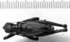 CollectionObject 1535588; 723b5225-2846-4830-9c8a-de73a20867c5: Image Carbonell, C.S. male, dorsal view (syntype). (CollectionObject).